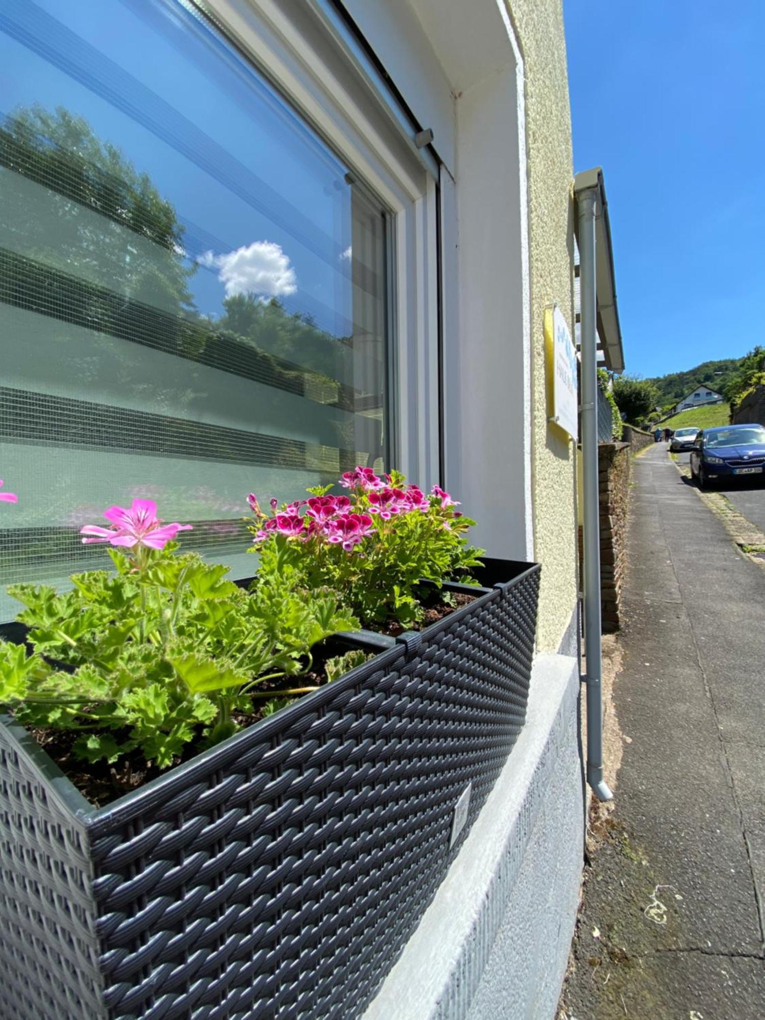 "Haus Bella" Apartment Cochem Luaran gambar